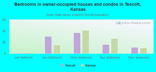Bedrooms in owner-occupied houses and condos in Tescott, Kansas