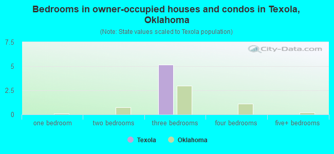 Bedrooms in owner-occupied houses and condos in Texola, Oklahoma