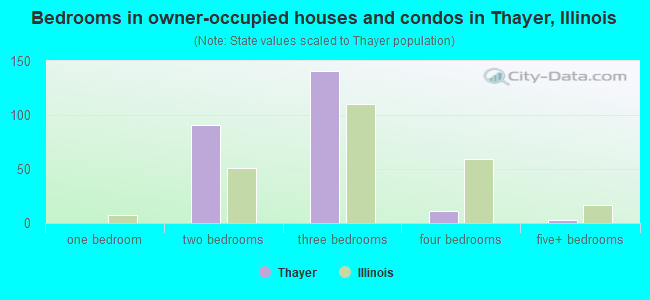 Bedrooms in owner-occupied houses and condos in Thayer, Illinois