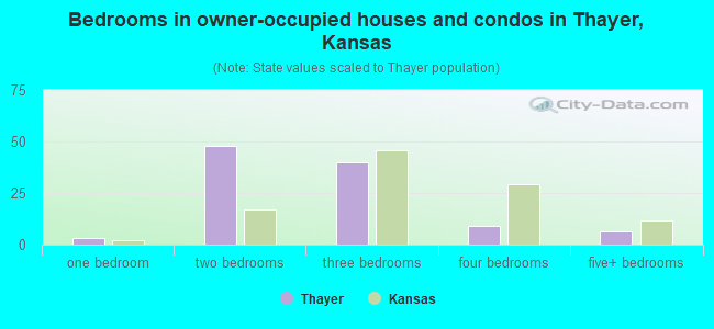 Bedrooms in owner-occupied houses and condos in Thayer, Kansas