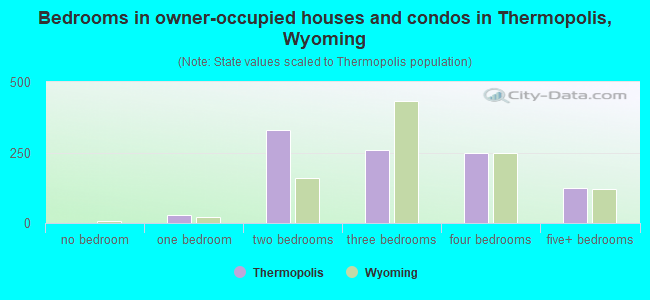 Bedrooms in owner-occupied houses and condos in Thermopolis, Wyoming