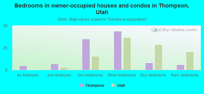 Bedrooms in owner-occupied houses and condos in Thompson, Utah