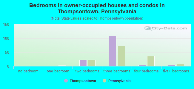 Bedrooms in owner-occupied houses and condos in Thompsontown, Pennsylvania