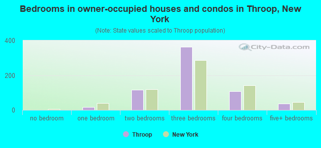 Bedrooms in owner-occupied houses and condos in Throop, New York