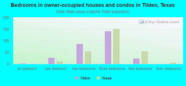 Bedrooms in owner-occupied houses and condos in Tilden, Texas