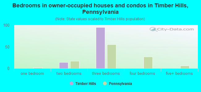 Bedrooms in owner-occupied houses and condos in Timber Hills, Pennsylvania