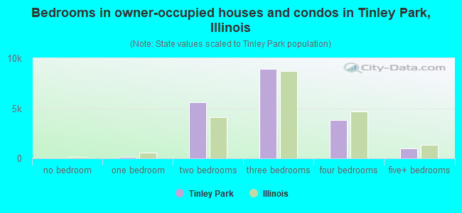 Bedrooms in owner-occupied houses and condos in Tinley Park, Illinois