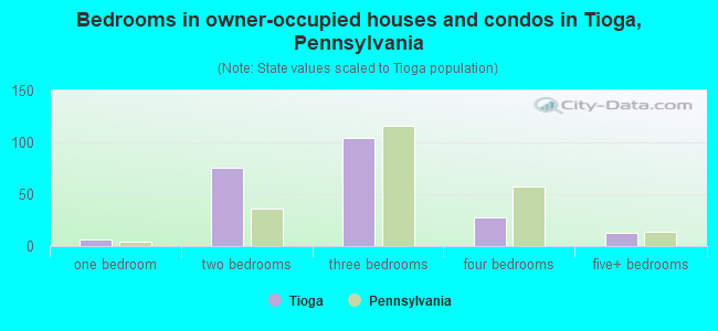 Bedrooms in owner-occupied houses and condos in Tioga, Pennsylvania