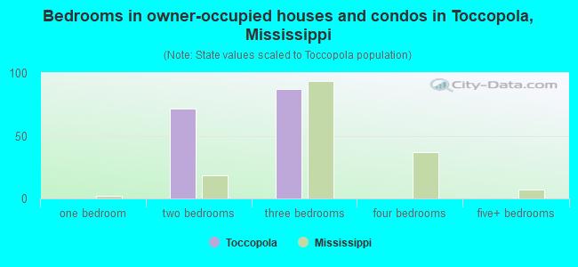 Bedrooms in owner-occupied houses and condos in Toccopola, Mississippi