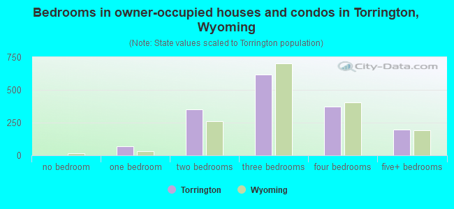 Bedrooms in owner-occupied houses and condos in Torrington, Wyoming