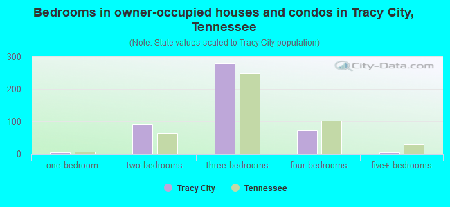 Bedrooms in owner-occupied houses and condos in Tracy City, Tennessee