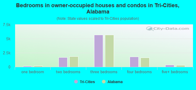 Bedrooms in owner-occupied houses and condos in Tri-Cities, Alabama