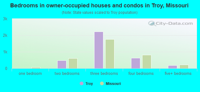 Bedrooms in owner-occupied houses and condos in Troy, Missouri
