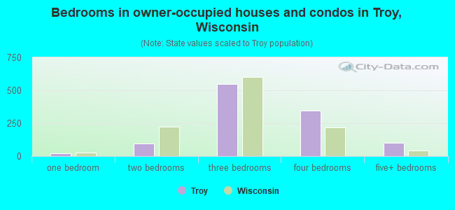 Bedrooms in owner-occupied houses and condos in Troy, Wisconsin