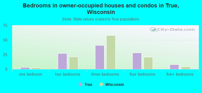 Bedrooms in owner-occupied houses and condos in True, Wisconsin