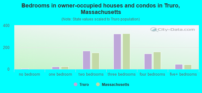 Bedrooms in owner-occupied houses and condos in Truro, Massachusetts