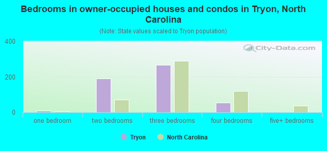 Bedrooms in owner-occupied houses and condos in Tryon, North Carolina