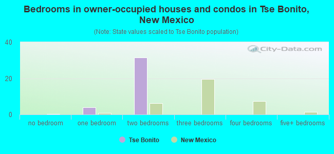 Bedrooms in owner-occupied houses and condos in Tse Bonito, New Mexico