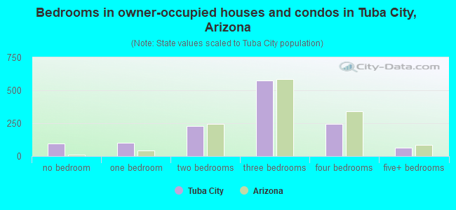 Bedrooms in owner-occupied houses and condos in Tuba City, Arizona