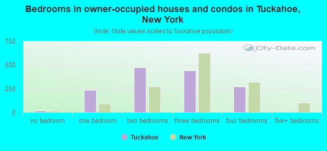 Bedrooms in owner-occupied houses and condos in Tuckahoe, New York