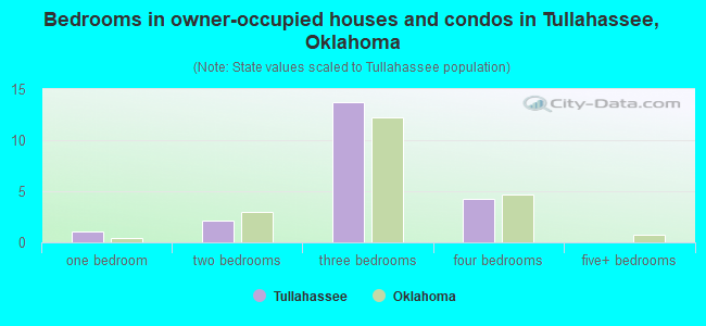 Bedrooms in owner-occupied houses and condos in Tullahassee, Oklahoma