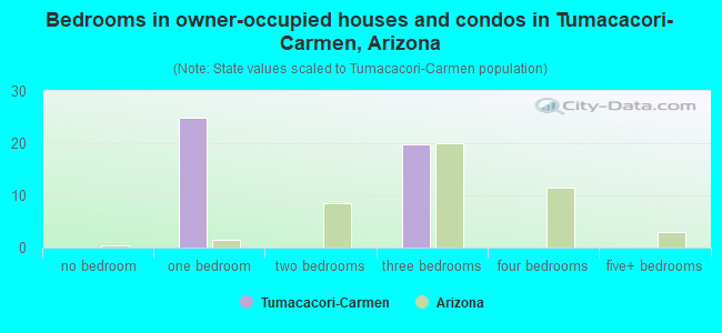 Bedrooms in owner-occupied houses and condos in Tumacacori-Carmen, Arizona