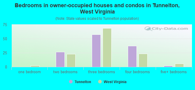 Bedrooms in owner-occupied houses and condos in Tunnelton, West Virginia