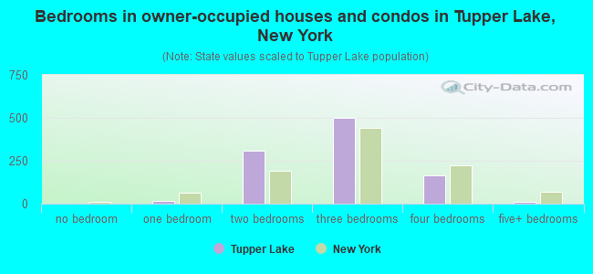 Bedrooms in owner-occupied houses and condos in Tupper Lake, New York