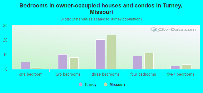 Bedrooms in owner-occupied houses and condos in Turney, Missouri