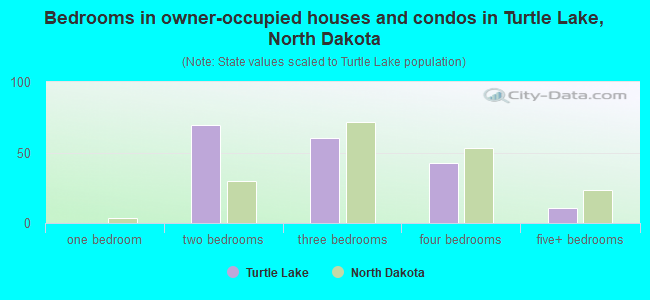 Bedrooms in owner-occupied houses and condos in Turtle Lake, North Dakota