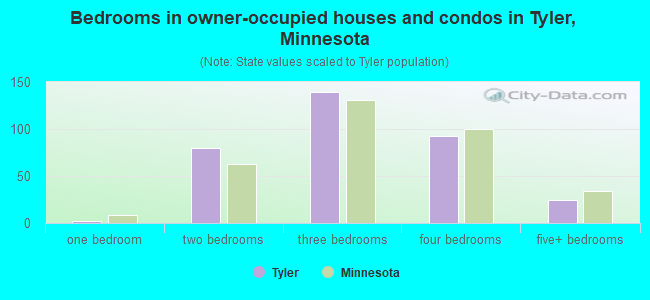 Bedrooms in owner-occupied houses and condos in Tyler, Minnesota