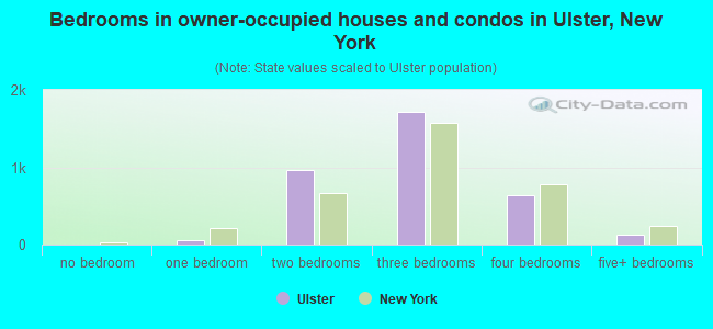 Bedrooms in owner-occupied houses and condos in Ulster, New York