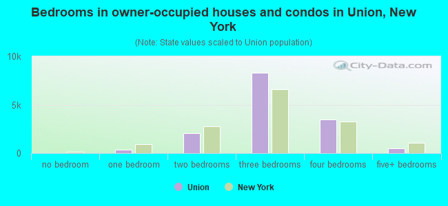 Bedrooms in owner-occupied houses and condos in Union, New York