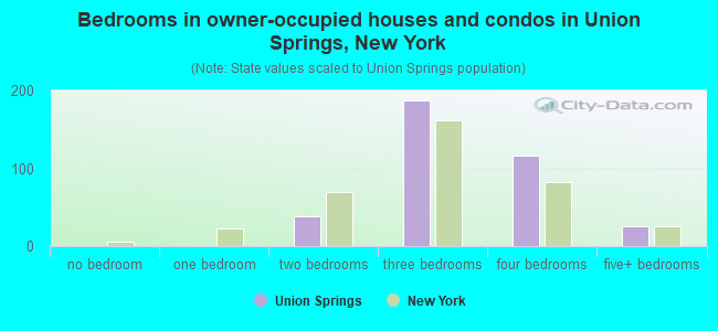 Bedrooms in owner-occupied houses and condos in Union Springs, New York
