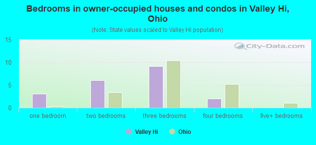 Bedrooms in owner-occupied houses and condos in Valley Hi, Ohio