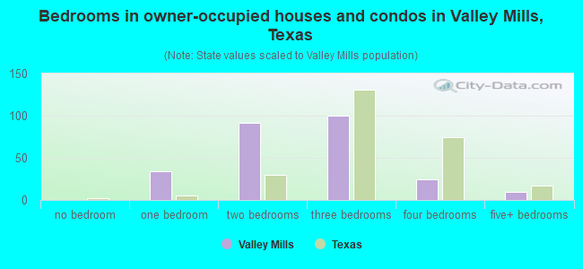 Bedrooms in owner-occupied houses and condos in Valley Mills, Texas