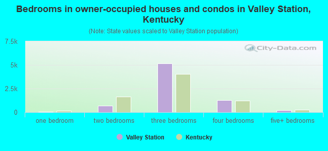 Bedrooms in owner-occupied houses and condos in Valley Station, Kentucky