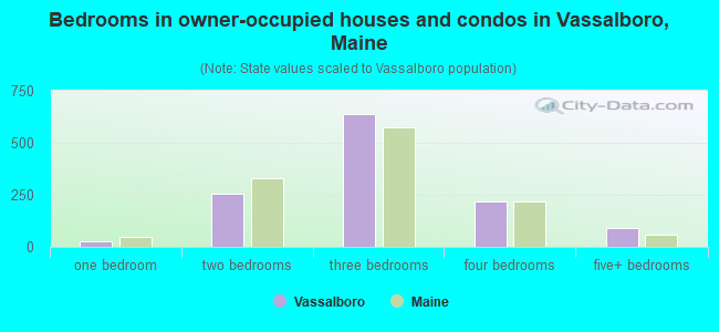 Bedrooms in owner-occupied houses and condos in Vassalboro, Maine