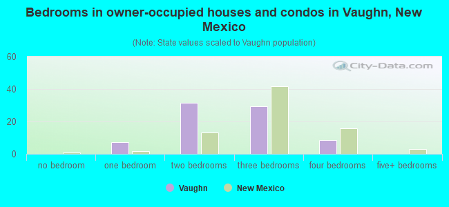 Bedrooms in owner-occupied houses and condos in Vaughn, New Mexico