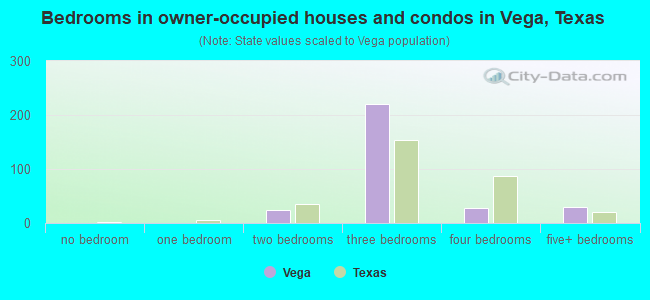 Bedrooms in owner-occupied houses and condos in Vega, Texas