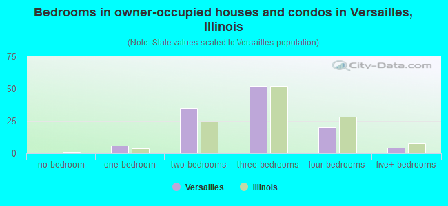 Bedrooms in owner-occupied houses and condos in Versailles, Illinois