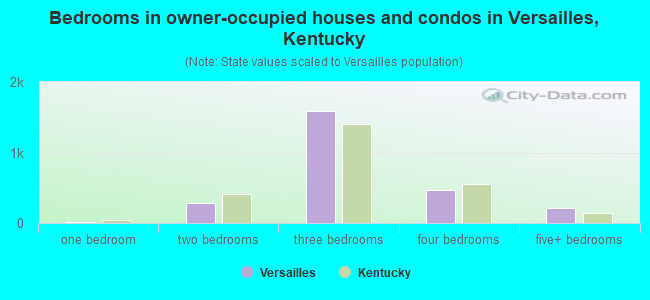 Bedrooms in owner-occupied houses and condos in Versailles, Kentucky