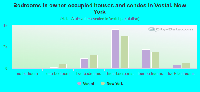 Bedrooms in owner-occupied houses and condos in Vestal, New York