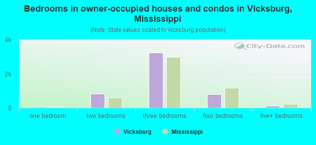 Bedrooms in owner-occupied houses and condos in Vicksburg, Mississippi