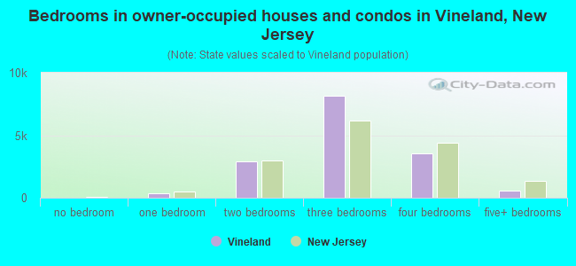 Bedrooms in owner-occupied houses and condos in Vineland, New Jersey