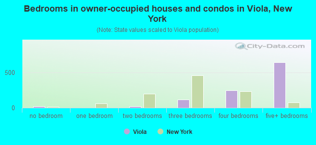 Bedrooms in owner-occupied houses and condos in Viola, New York