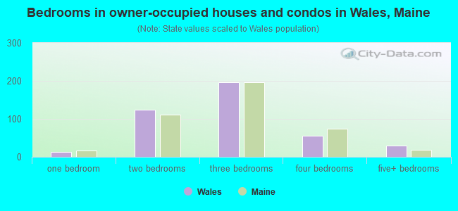 Bedrooms in owner-occupied houses and condos in Wales, Maine