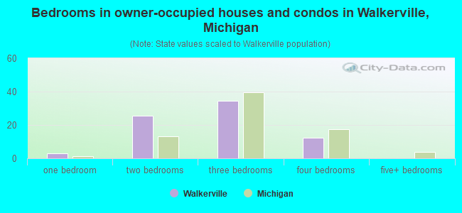 Bedrooms in owner-occupied houses and condos in Walkerville, Michigan