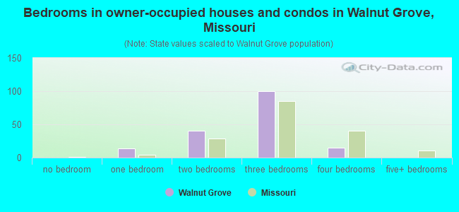 Bedrooms in owner-occupied houses and condos in Walnut Grove, Missouri