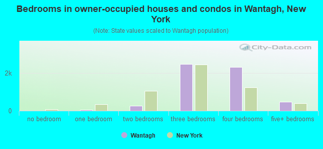 Bedrooms in owner-occupied houses and condos in Wantagh, New York